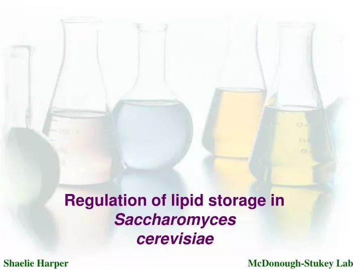 regulation of lipid storage in saccharomyces cerevisiae