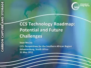 CCS Technology Roadmap: Potential and Future Challenges