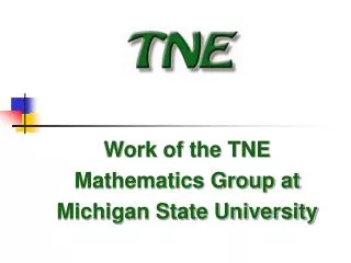 Work of the TNE Mathematics Group at Michigan State University