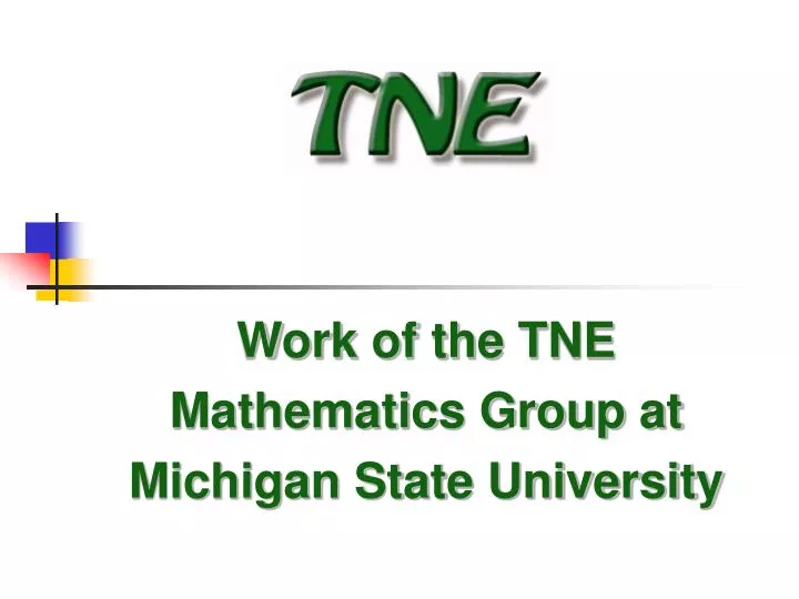 work of the tne mathematics group at michigan state university