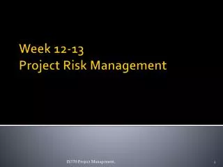 Week 12-13 Project Risk Management