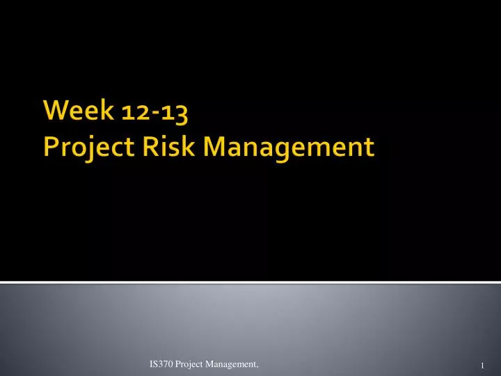 week 12 13 project risk management
