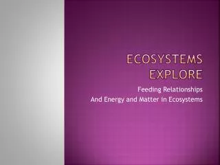 ECOSYSTEMS Explore