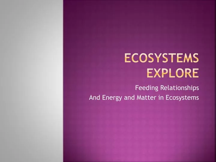 ecosystems explore