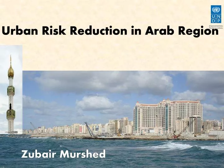 urban risk reduction in arab region