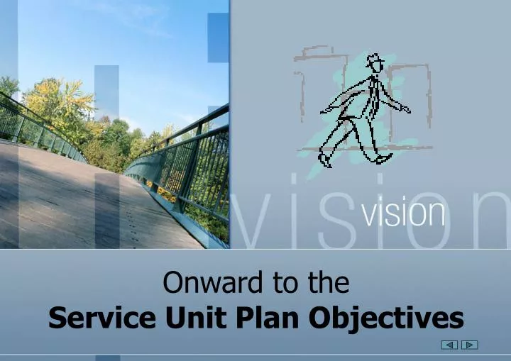 onward to the service unit plan objectives