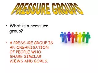 What is a pressure group? A PRESSURE GROUP IS AN ORGANISATION OF PEOPLE WHO SHARE SIMILAR VIEWS AND GOALS.