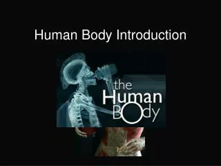 Human Body Introduction