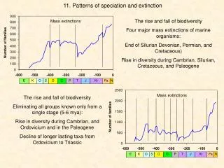 1 1 . Patterns of speciation and extinction