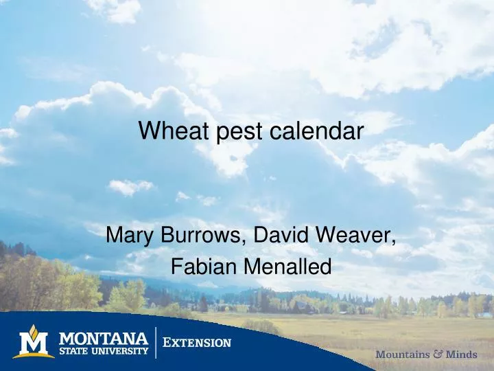 wheat pest calendar