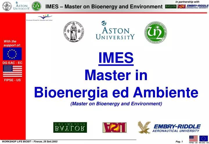 imes master in bioenergia ed ambiente master on bioenergy and environment
