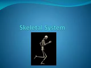 Skeletal System