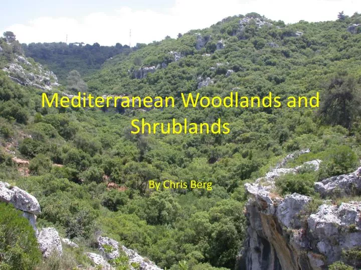 mediterranean woodlands and shrublands