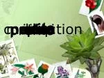 tion - slide 1