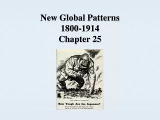 New Global Patterns 1800-1914 Chapter 25