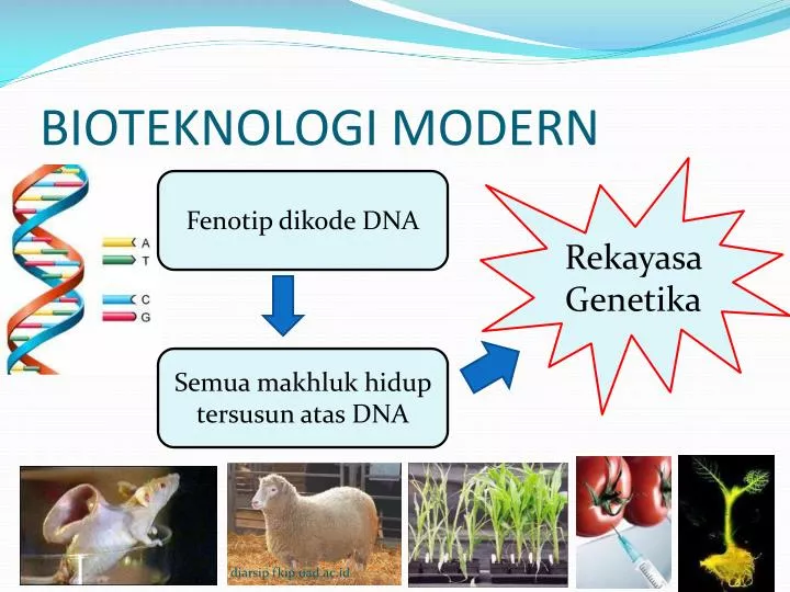bioteknologi modern