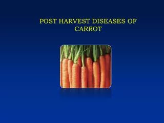 POST HARVEST DISEASES OF CARROT