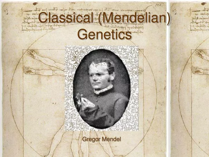 classical mendelian genetics