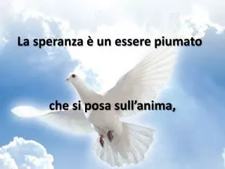 la speranza un essere piumato