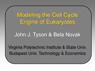 Modeling the Cell Cycle Engine of Eukaryotes