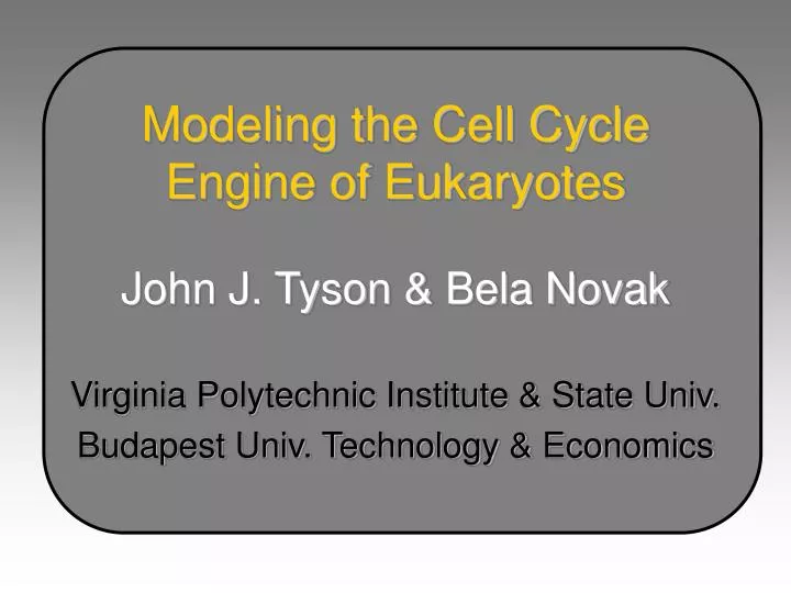 modeling the cell cycle engine of eukaryotes
