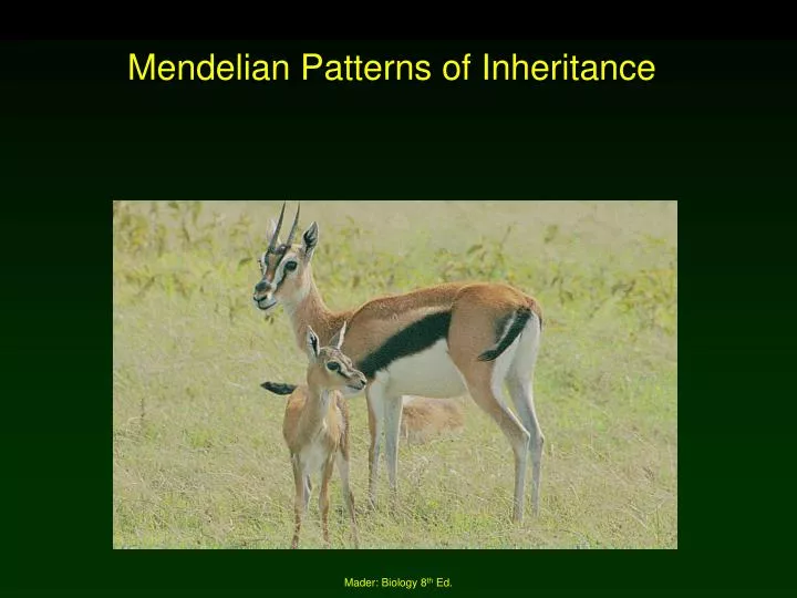 mendelian patterns of inheritance