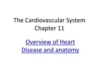The Cardiovascular System Chapter 11