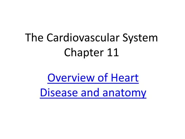the cardiovascular system chapter 11