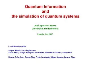 Quantum Information and the simulation of quantum systems