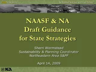 NAASF &amp; NA Draft Guidance for State Strategies