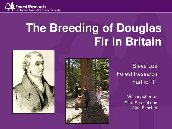 the breeding of douglas fir in britain