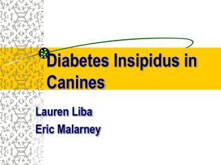 Diabetes Insipidus in Canines
