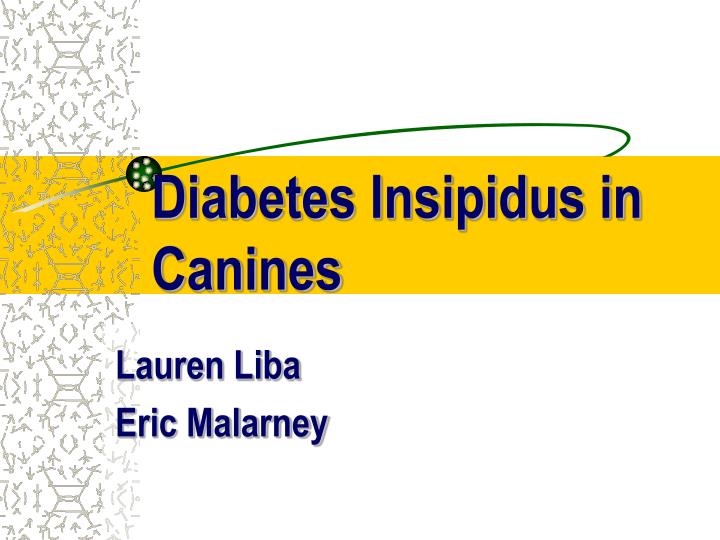 diabetes insipidus in canines