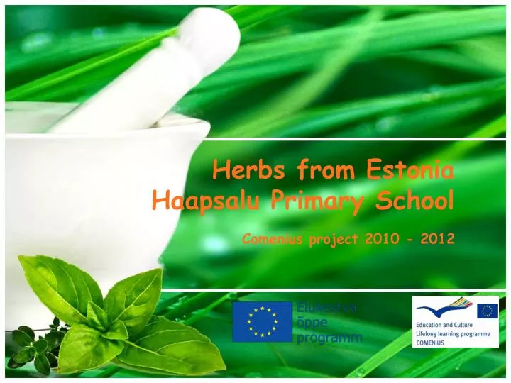 herbs from estonia haapsalu primary school