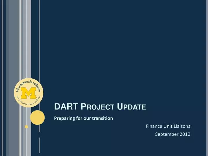 dart project update