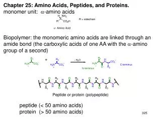 Chapter 25: Amino Acids, Peptides, and Proteins. monomer unit: ? -amino acids Biopolymer: the monomeric amino acids ar