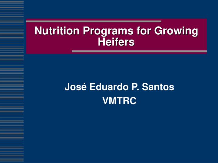 nutrition programs for growing heifers