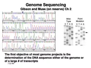 Genome Sequencing Gibson and Muse (on reserve) Ch 2