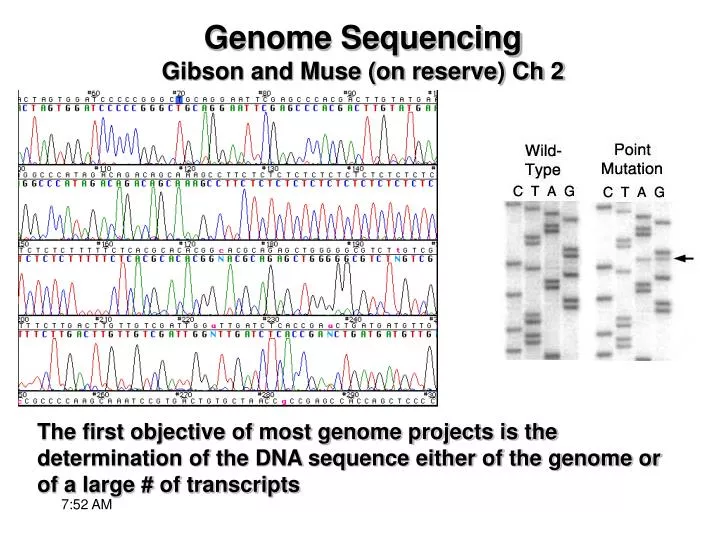 genome sequencing gibson and muse on reserve ch 2