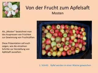 von der frucht zum apfelsaft mosten