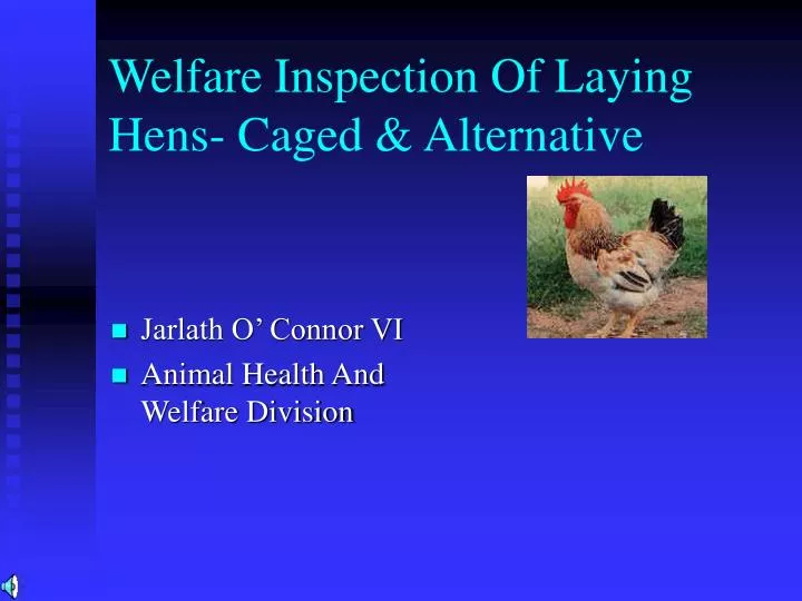 welfare inspection of laying hens caged alternative