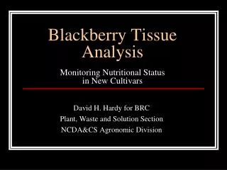 Blackberry Tissue Analysis Monitoring Nutritional Status in New Cultivars