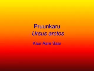 Pruunkaru Ursus arctos