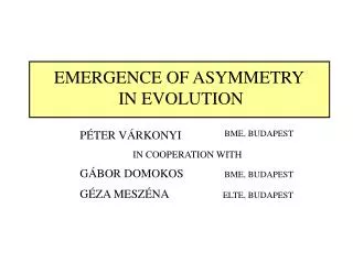 EMERGENCE OF ASYMMETRY IN EVOLUTION