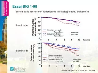 essai big 1 98