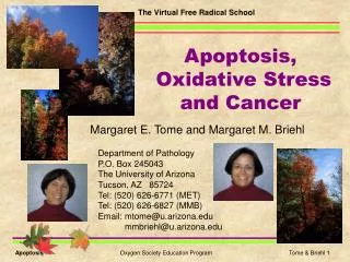 Apoptosis, Oxidative Stress and Cancer