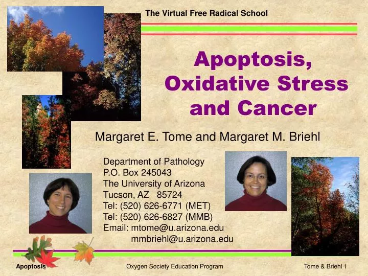 apoptosis oxidative stress and cancer