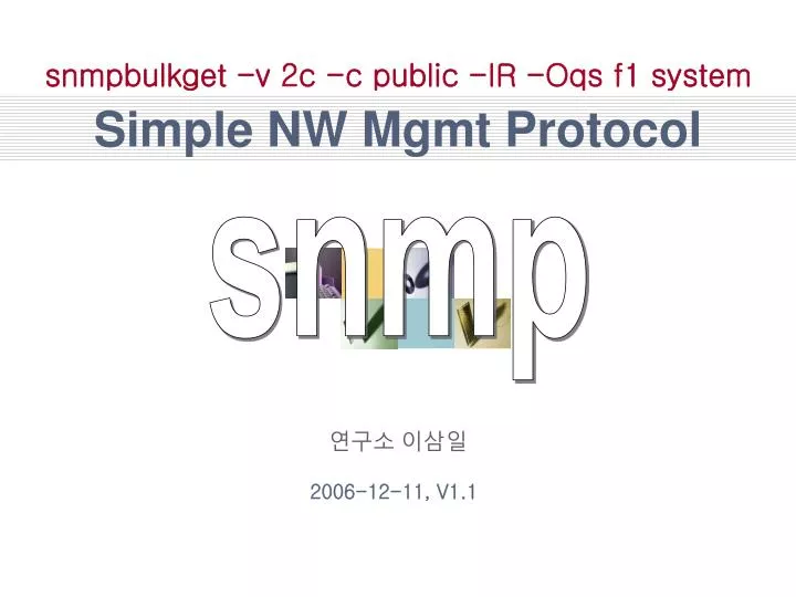 simple nw mgmt protocol