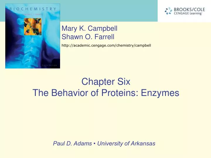 chapter six the behavior of proteins enzymes