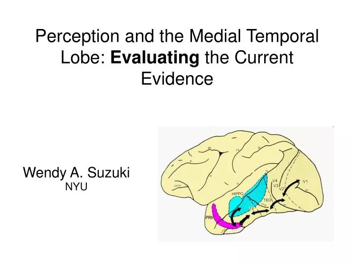 perception and the medial temporal lobe evaluating the current evidence